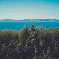 ddos压力测试网页端