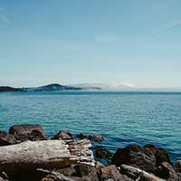 免费ddos攻击网页端