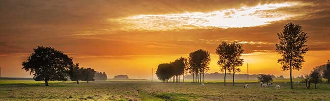 发卡网优惠的ddos攻击测试工具